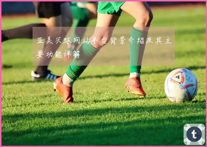亚美买球网站平台背景介绍及其主要功能详解