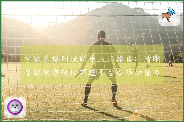 中欧买球网址新手入门指南：清晰导航助您轻松掌握平台各项功能与精彩体育直播入口