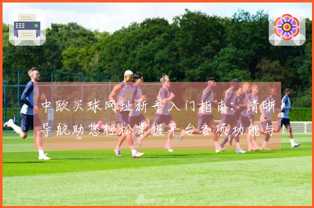 中欧买球网址新手入门指南：清晰导航助您轻松掌握平台各项功能与精彩体育直播入口
