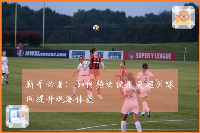 新手必看：如何熟练使用英超买球网提升观赛体验