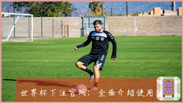 世界杯下注官网：全面介绍使用场景与平台功能，让你畅享极致体育直播体验