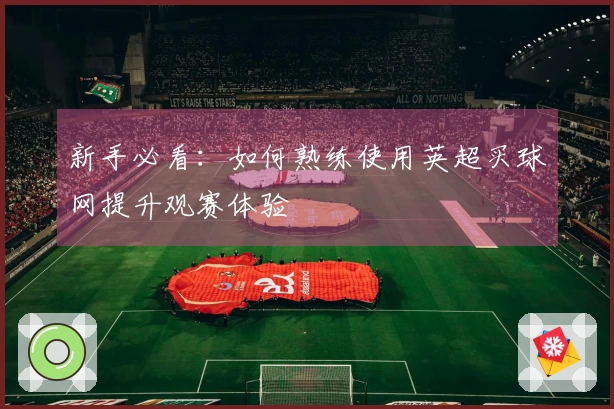新手必看：如何熟练使用英超买球网提升观赛体验