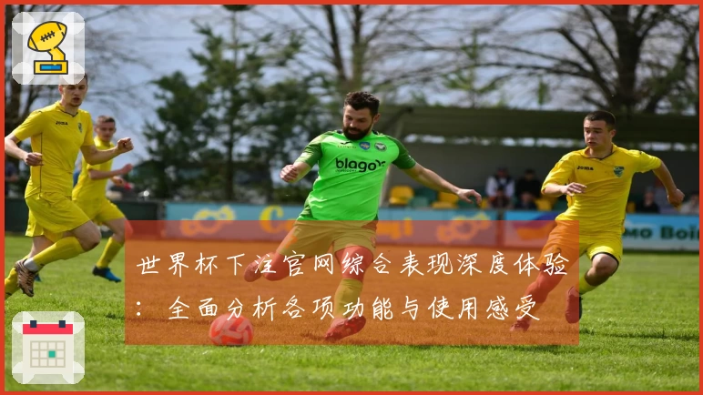 世界杯下注官网综合表现深度体验：全面分析各项功能与使用感受