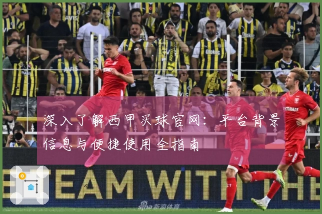 深入了解西甲买球官网：平台背景信息与便捷使用全指南