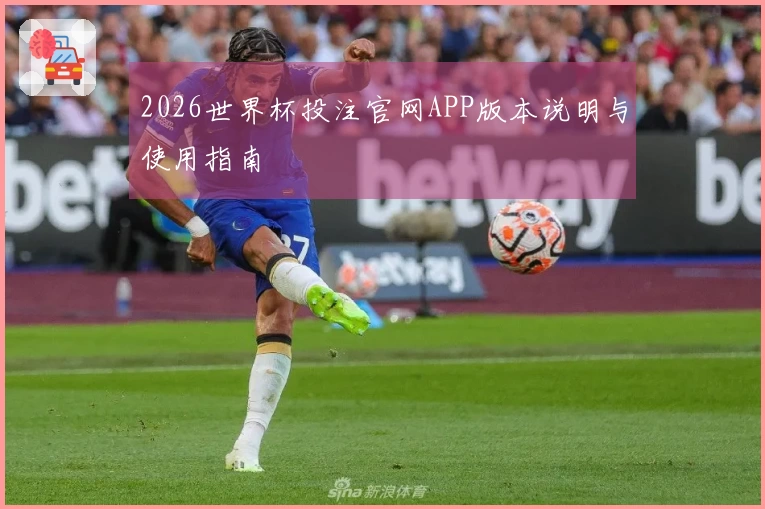 2026世界杯投注官网APP版本说明与使用指南