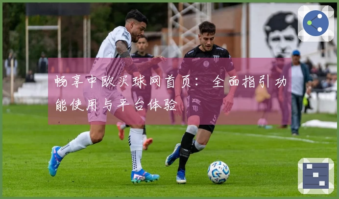 畅享中欧买球网首页：全面指引功能使用与平台体验