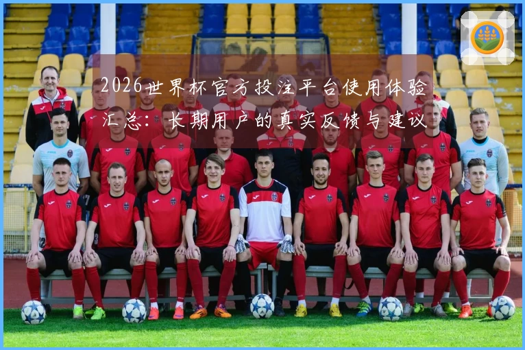 2026世界杯官方投注平台使用体验汇总：长期用户的真实反馈与建议