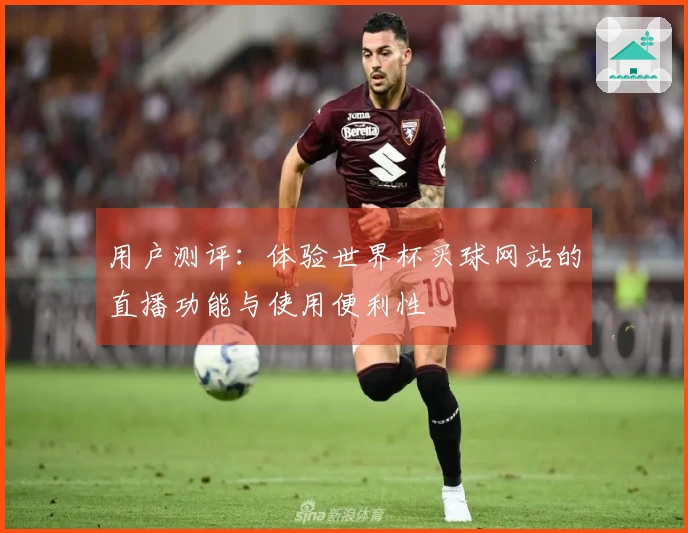 用户测评：体验世界杯买球网站的直播功能与使用便利性