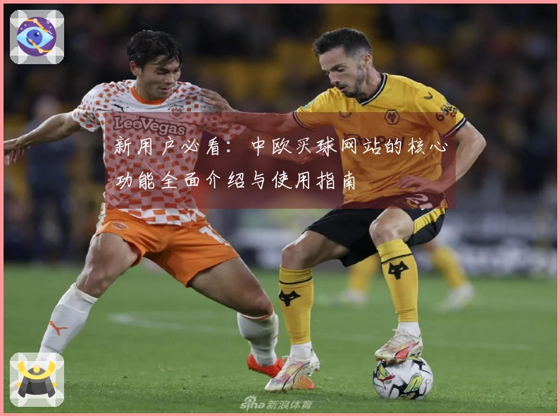 新用户必看：中欧买球网站的核心功能全面介绍与使用指南