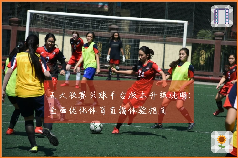 五大联赛买球平台版本升级说明：全面优化体育直播体验指南