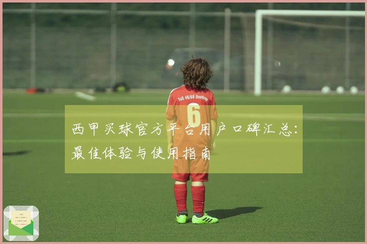 西甲买球官方平台用户口碑汇总：最佳体验与使用指南